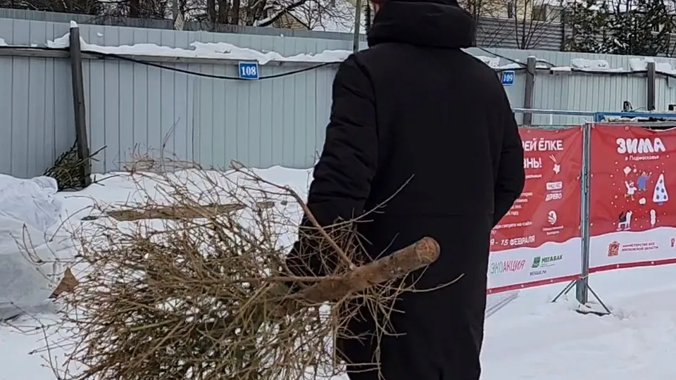 Фото: МедиаБанк Подмосковья/Никита Сморкалов