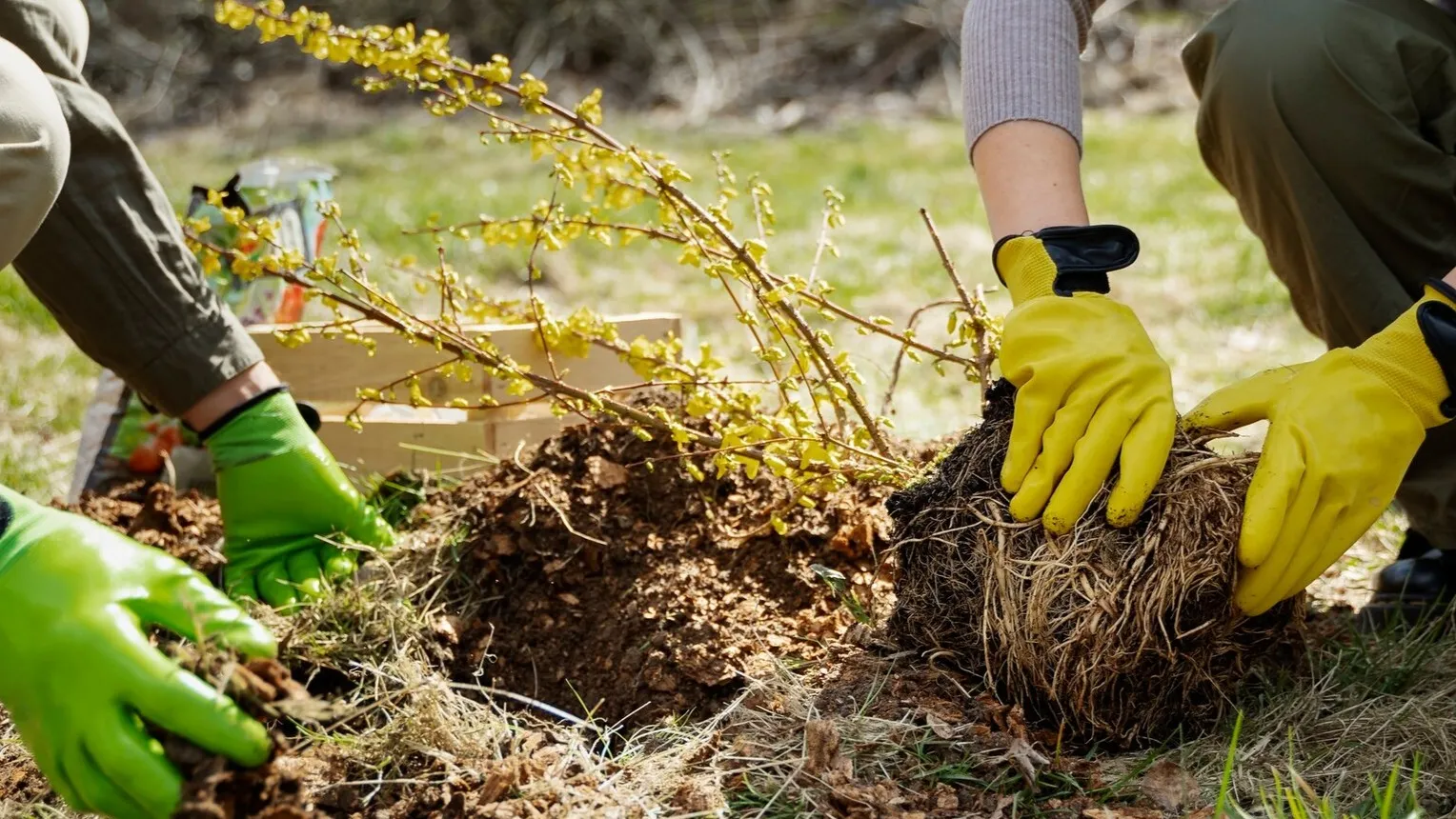 Фото: freepik.com