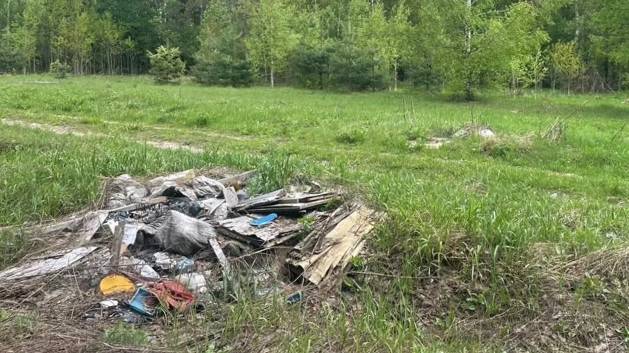 Свыше четырехсот кубометров мусора убрали в лесах Подмосковья за месяц