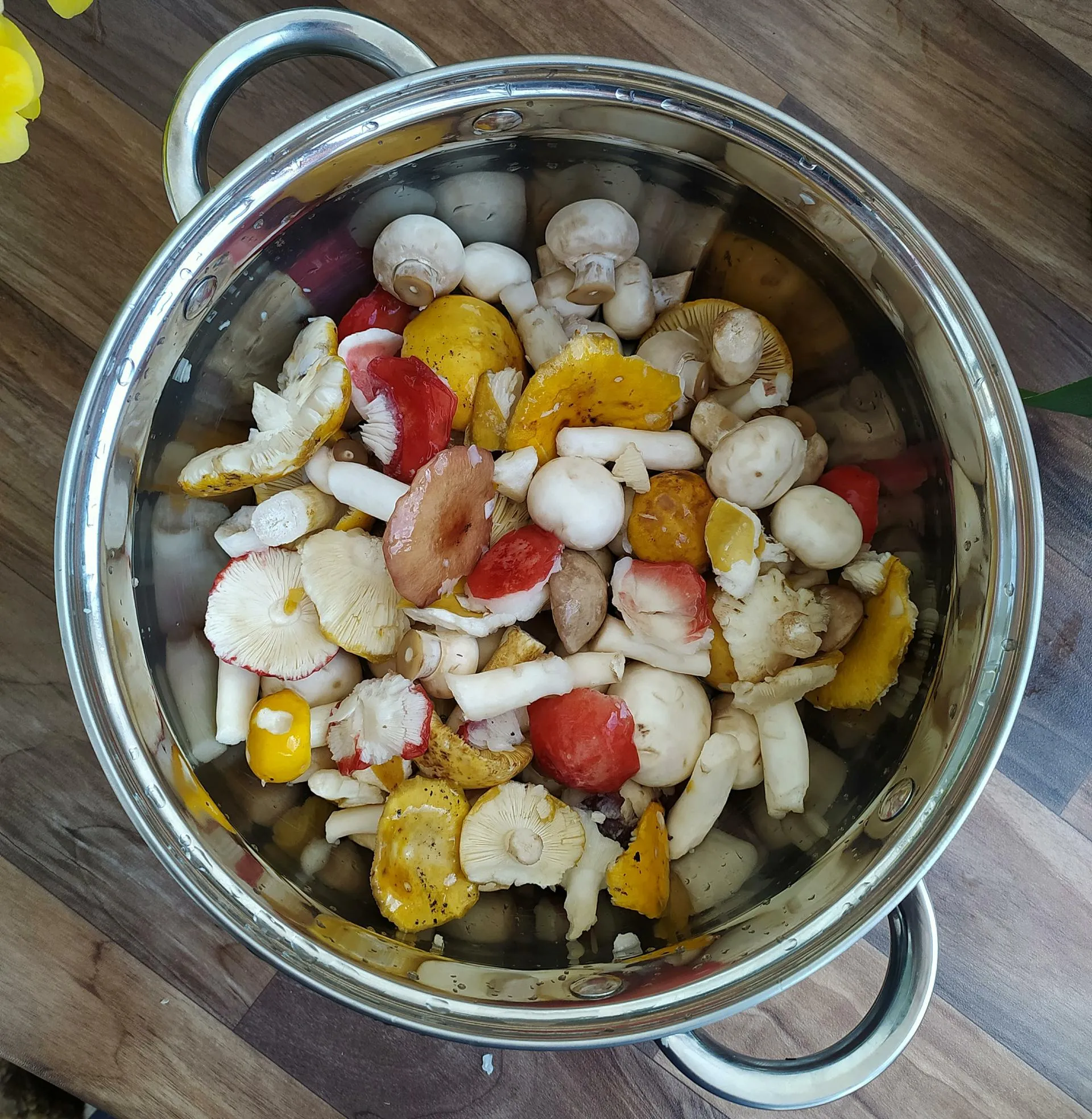 Victor Lisitsyn/Global Look Press