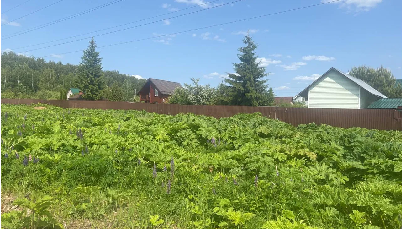 Источник: Министерство сельского хозяйства и продовольствия Московской области
