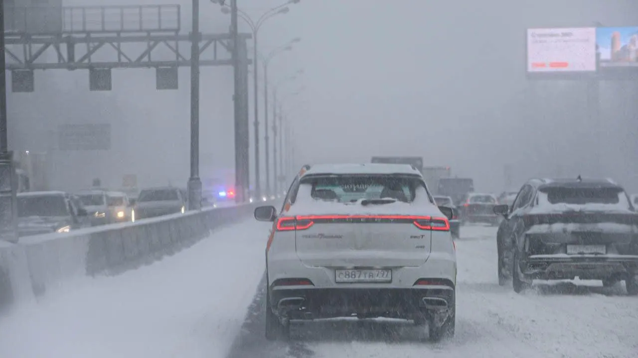 REGIONS/Роман Малышенко