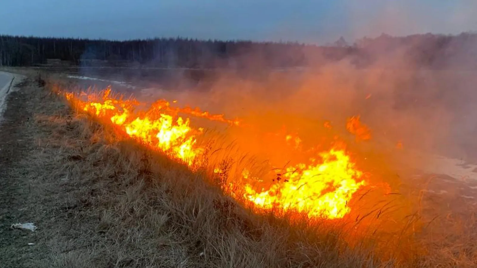 Фото: ГКУ МО «Мособлпожспас»