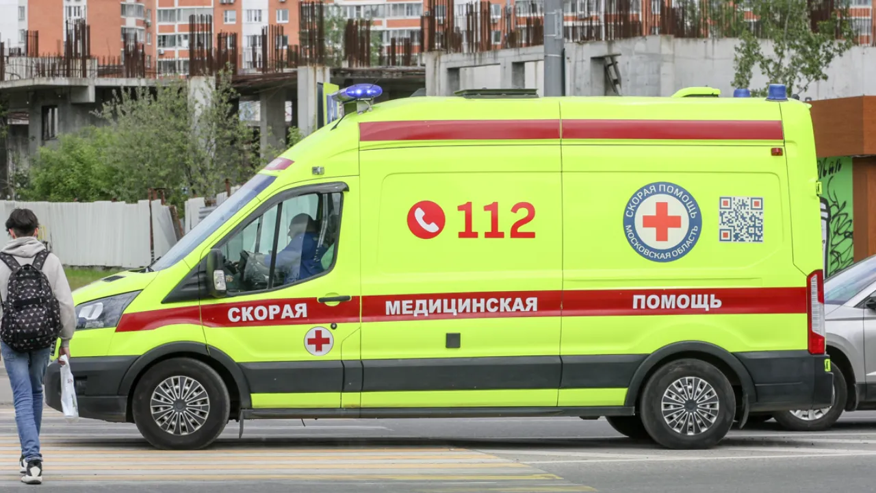 «Курица настолько невкусная стала»: девять человек отравились мясом медведя