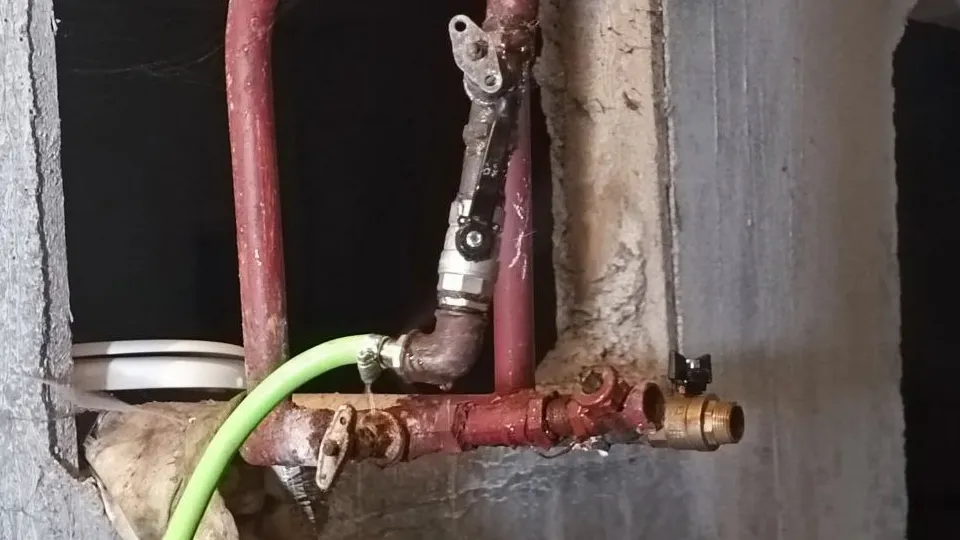 Фото: REGIONS/Наталия Надточая