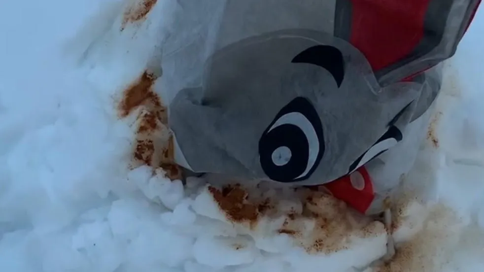 Фото: Микрорайон Малая Истра / Telegram