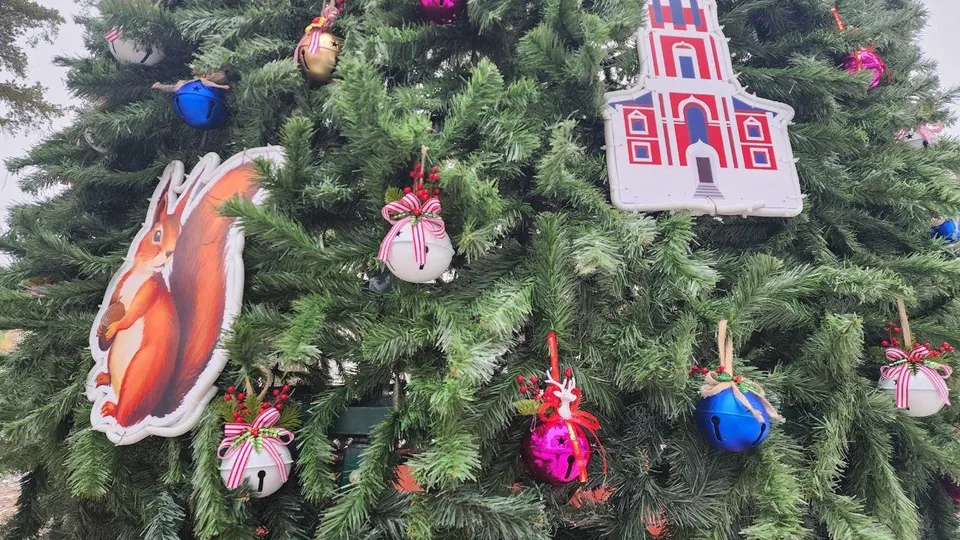 Фото: пресс-служба администрации г.о.Котельники