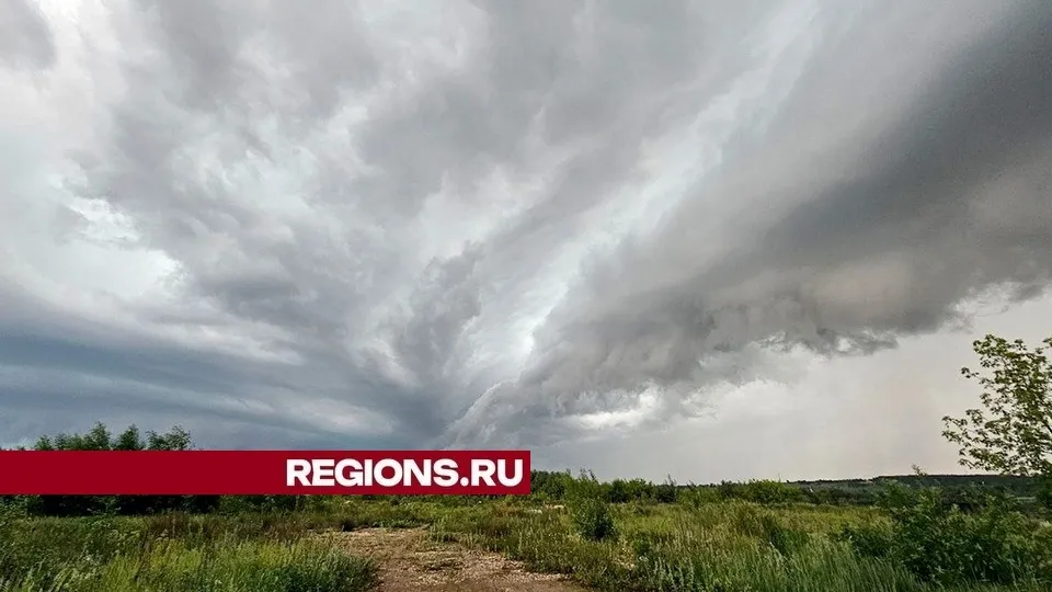 Фото: пресс-служба администрации городского округа Луховицы