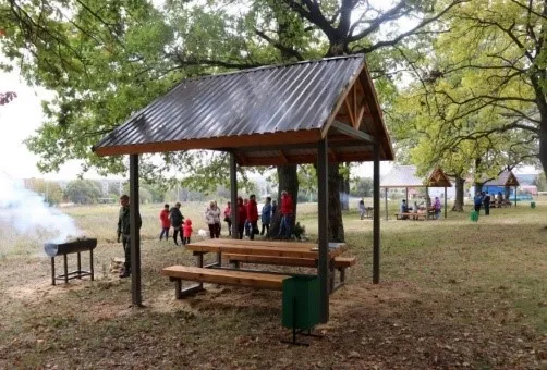 Фото: Комитет лесного хозяйства Московской области