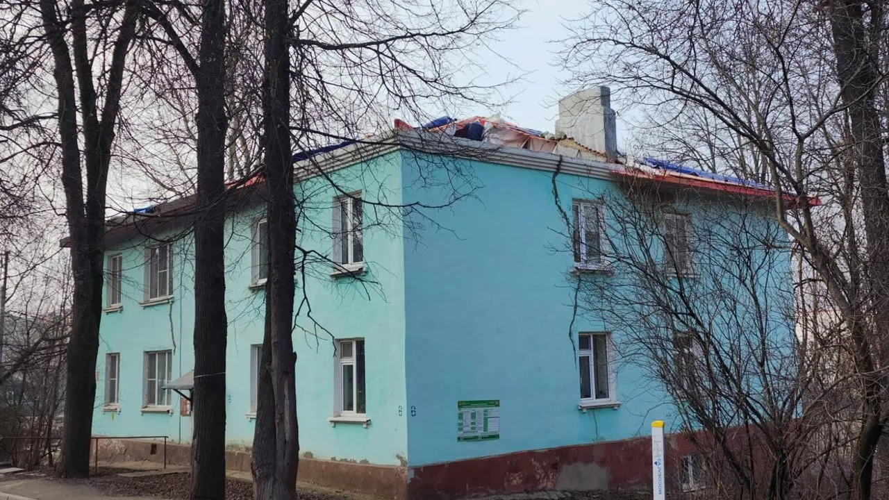 Фото: МедиаБанк Подмосковья/Дмитрий Беденко