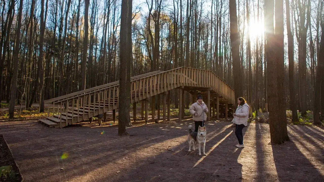 Министерство благоустройства Московской области