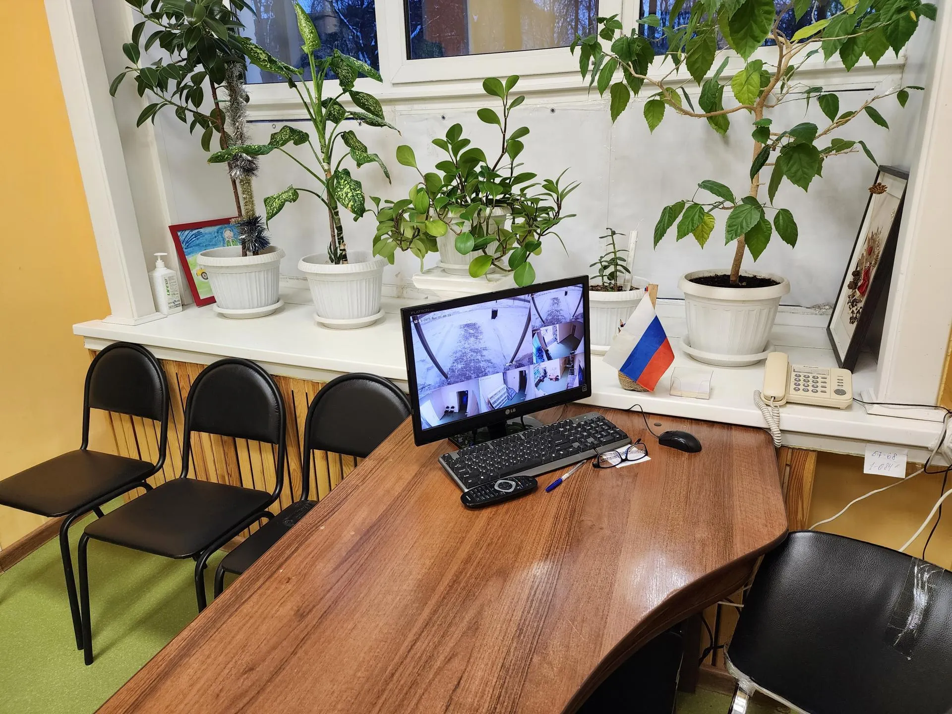 Фото: Дмитрий Павлов