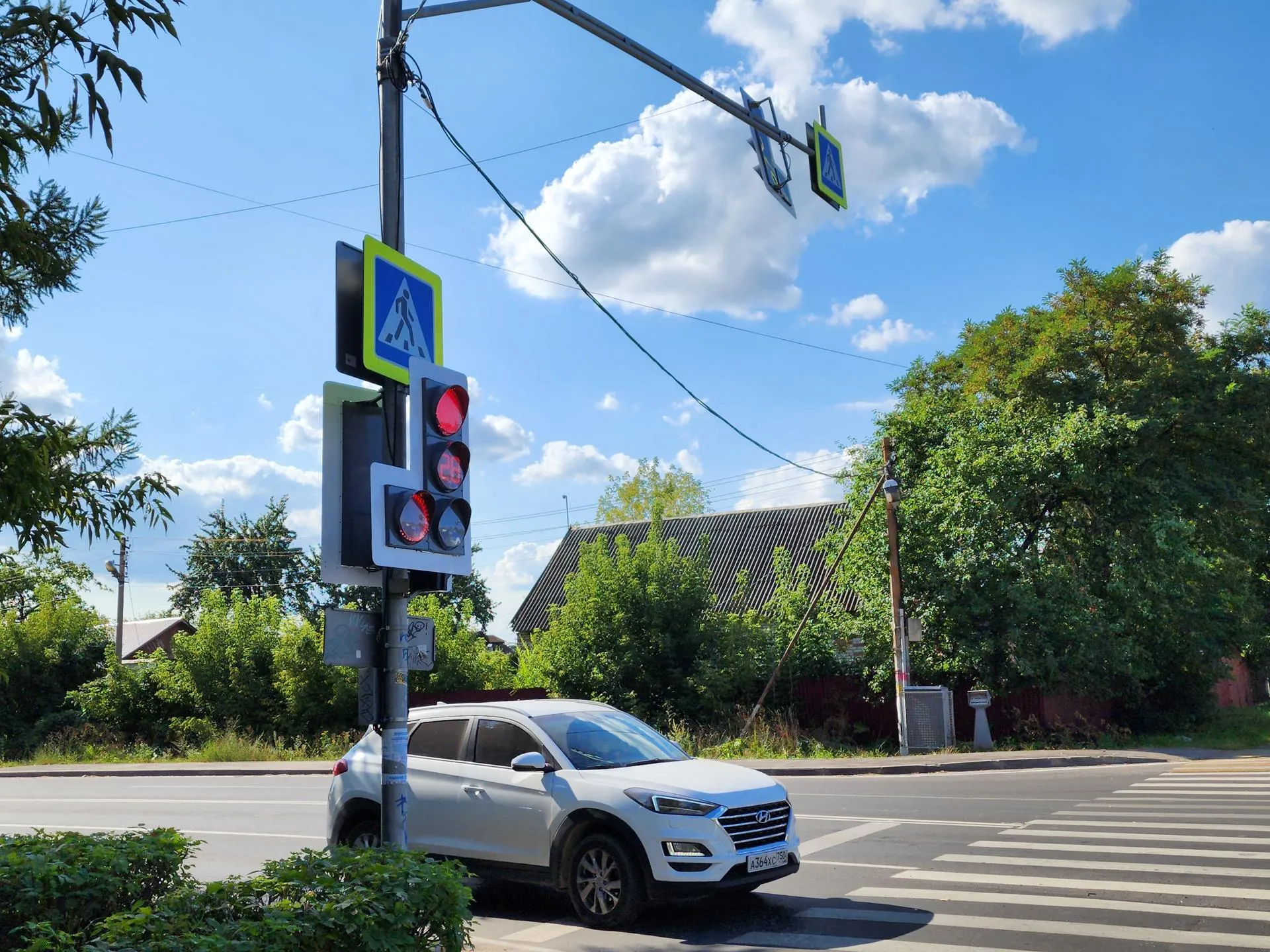 Фото: Светлана Плотникова