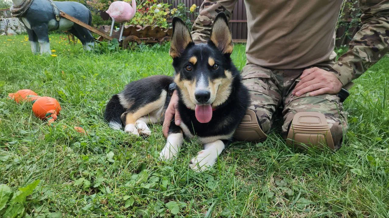 Ирина Матвеева