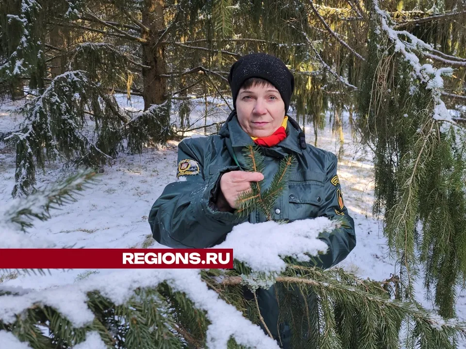 Фото: REGIONS/Александр Степушкин