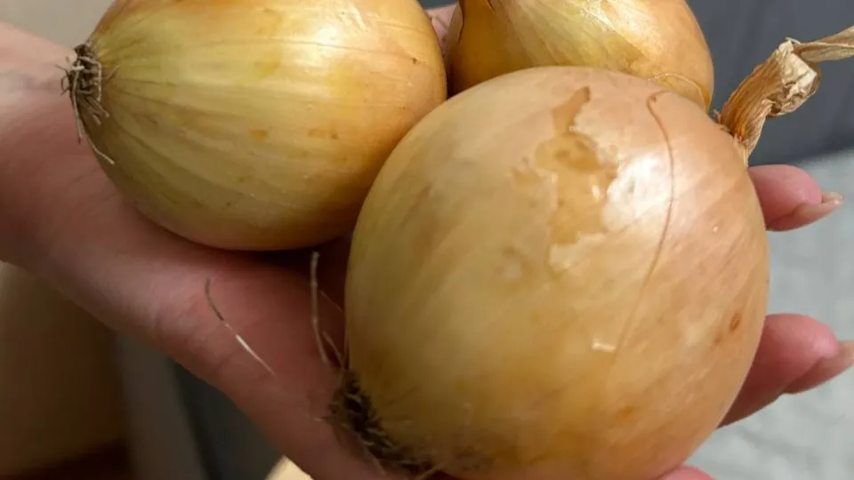 Фото: REGIONS/Юлия Габбасова