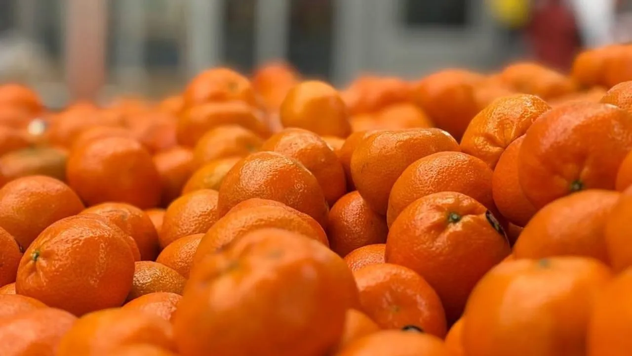 Диетолог назвала норму для мандаринов, после чего организм начнет разрушаться