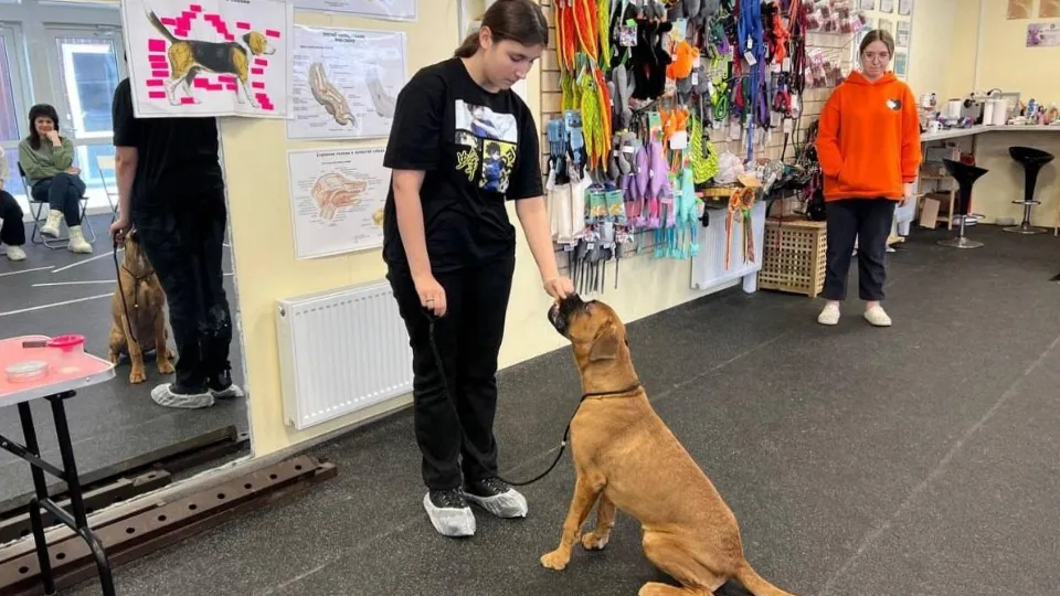 Фото: ГКУ СО МО СЦ «Маяк»