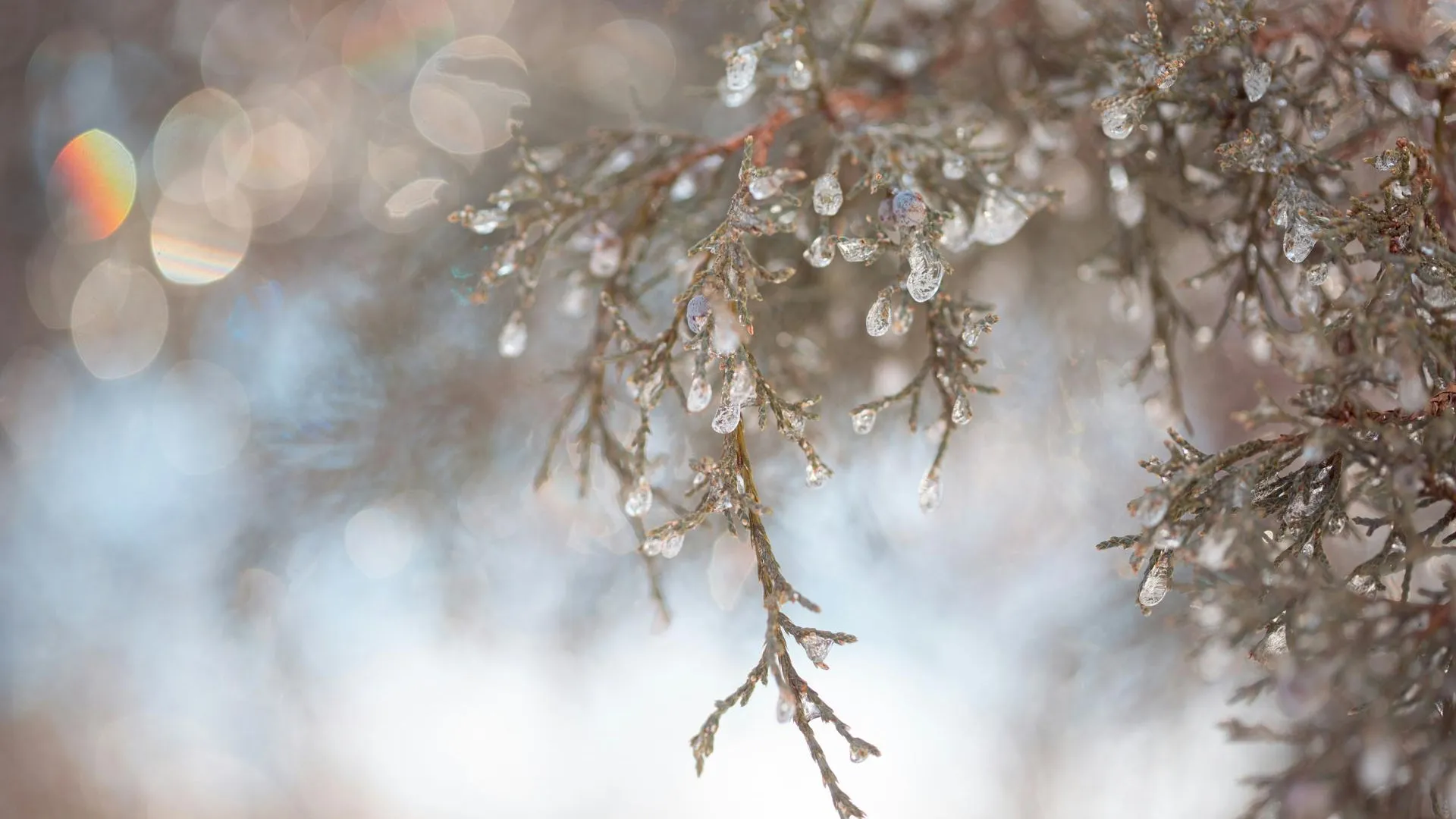 Фото: unsplash.com