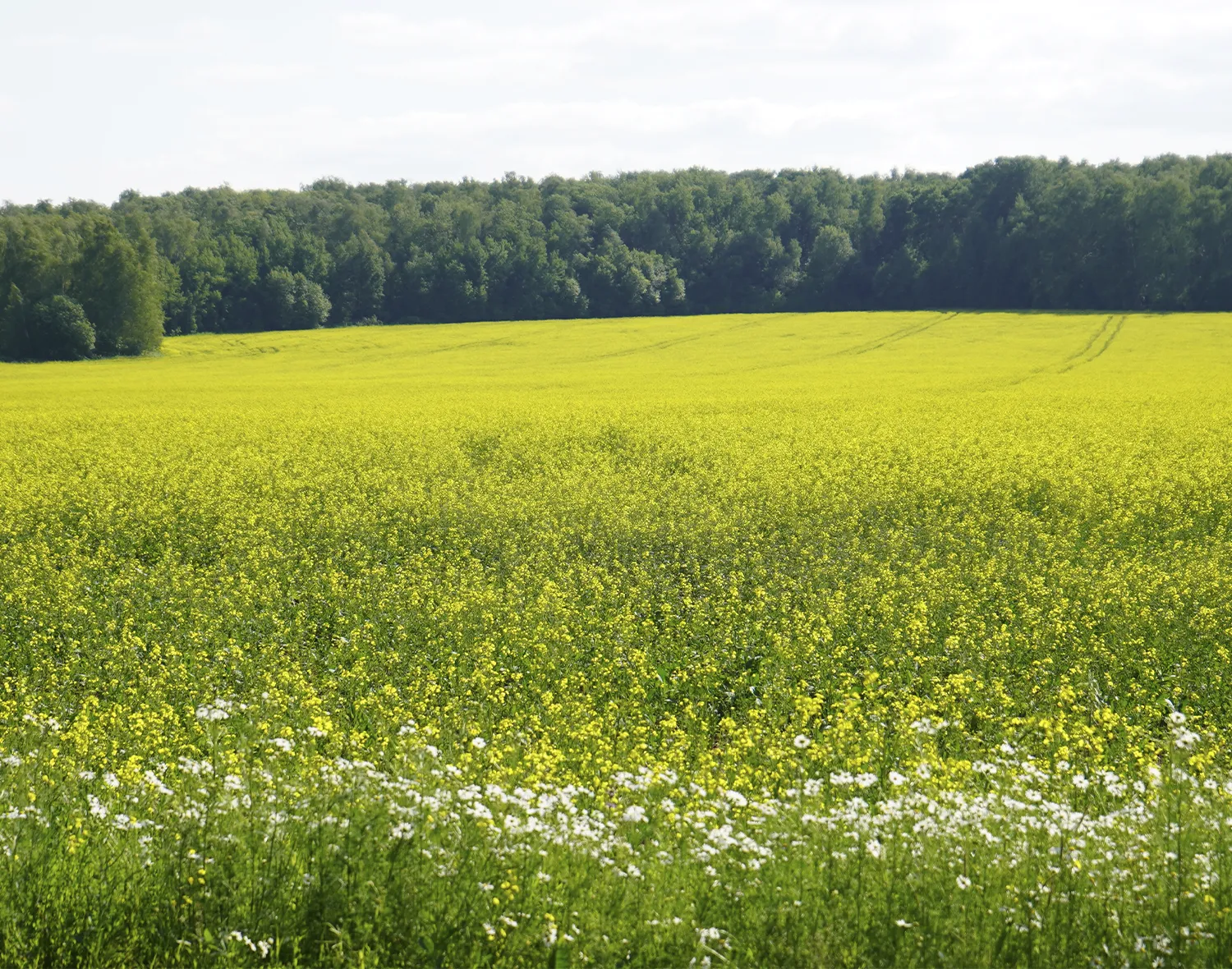 Фото: Екатерина Елисеева
