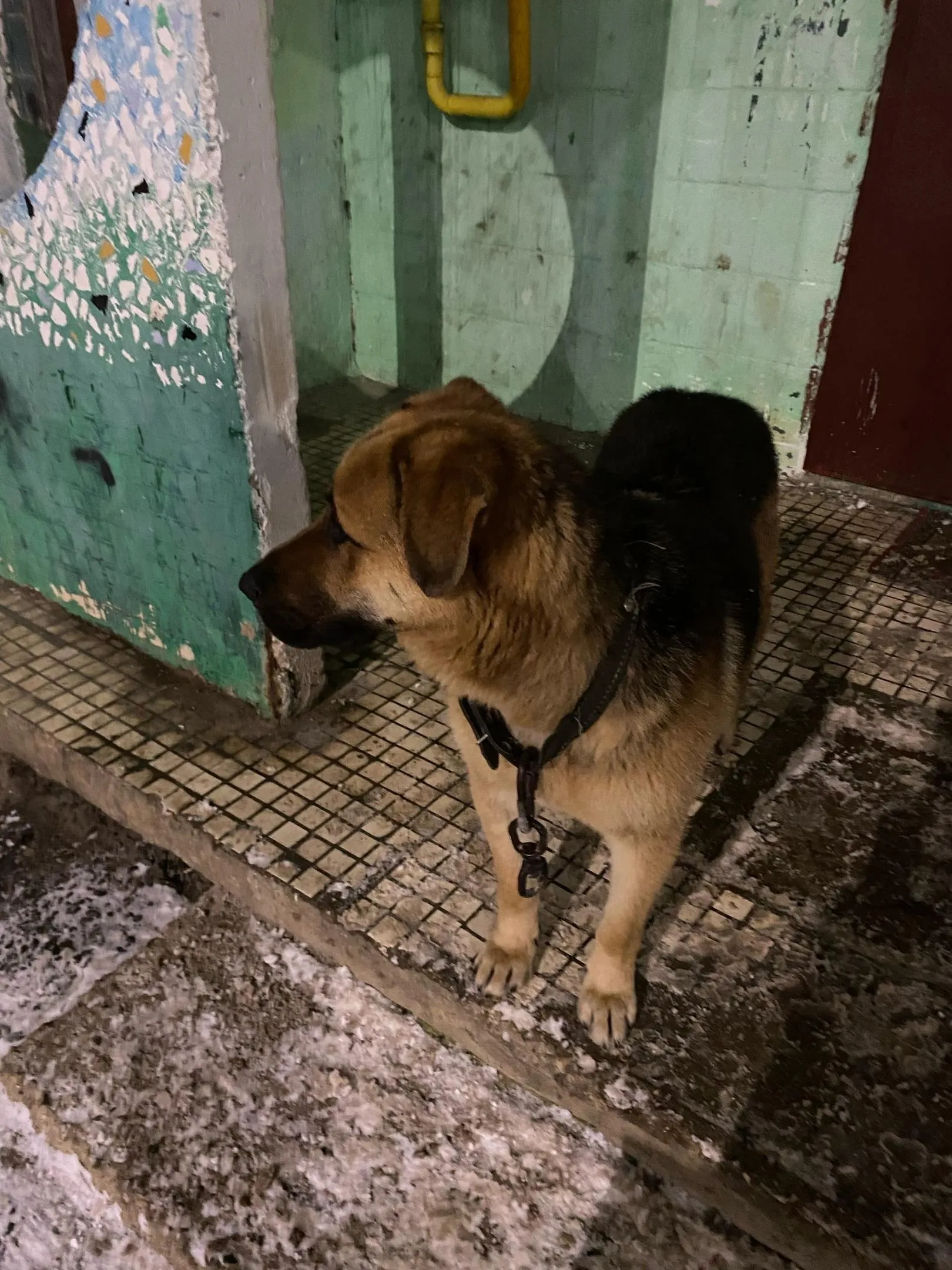 Фото: Подслушано на Глебовке (новая) / ВКонтакте