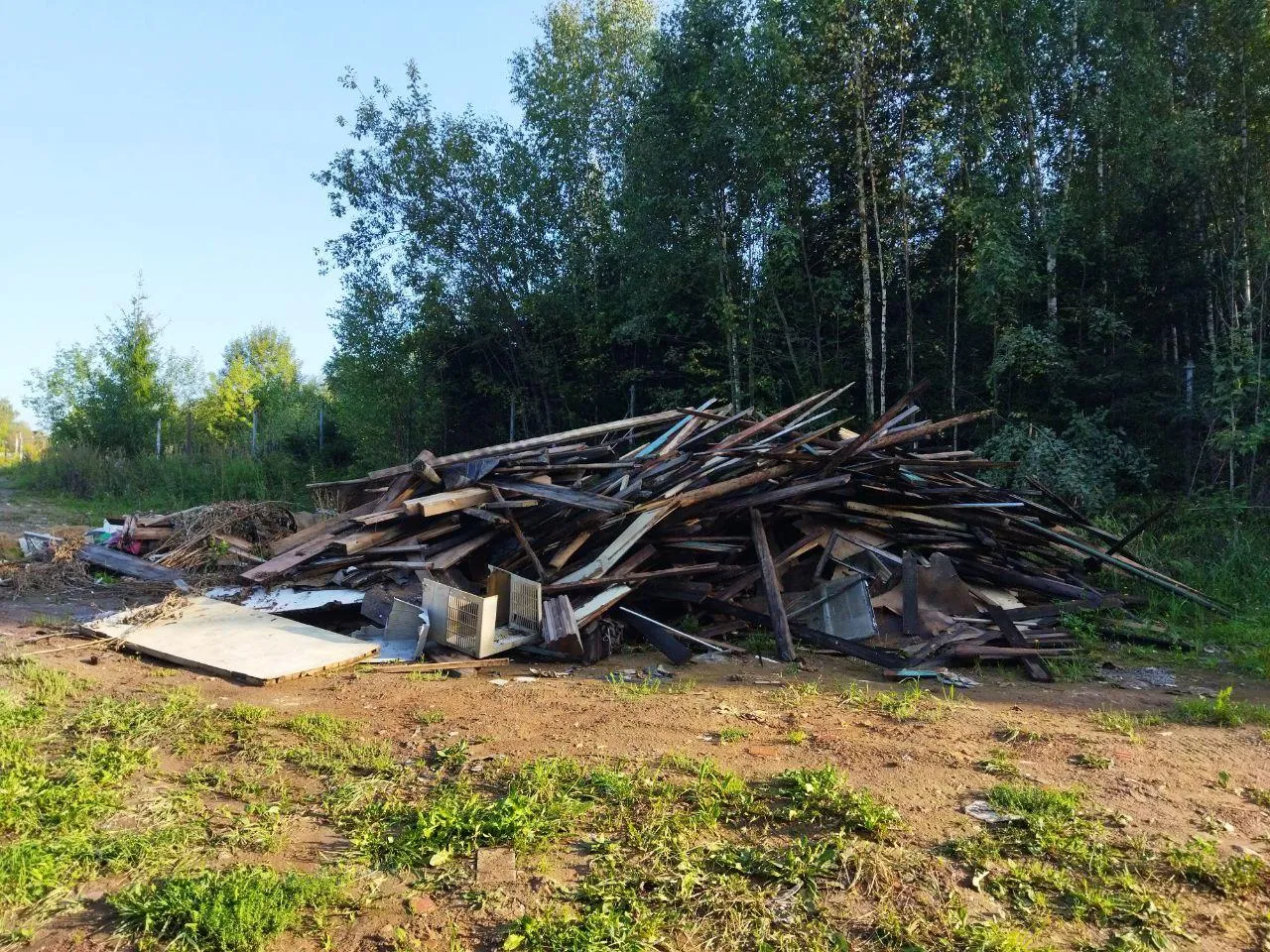 Фото: соцсети