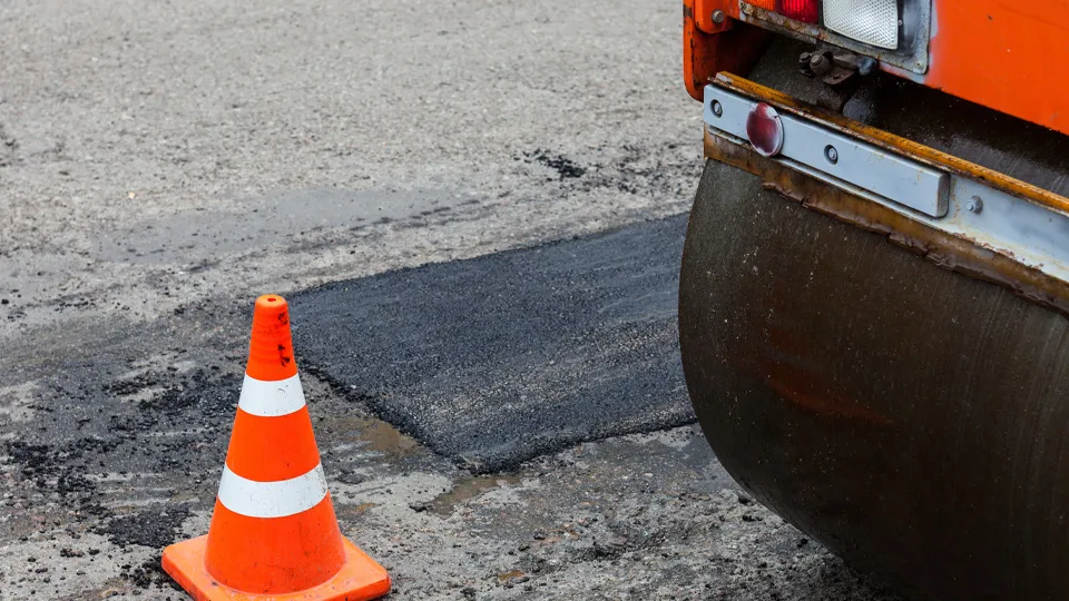 Фото: istockphoto.com/rootstocks