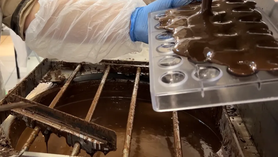 Фото: МедиаБанк Подмосковья/Ерофеева Валерия