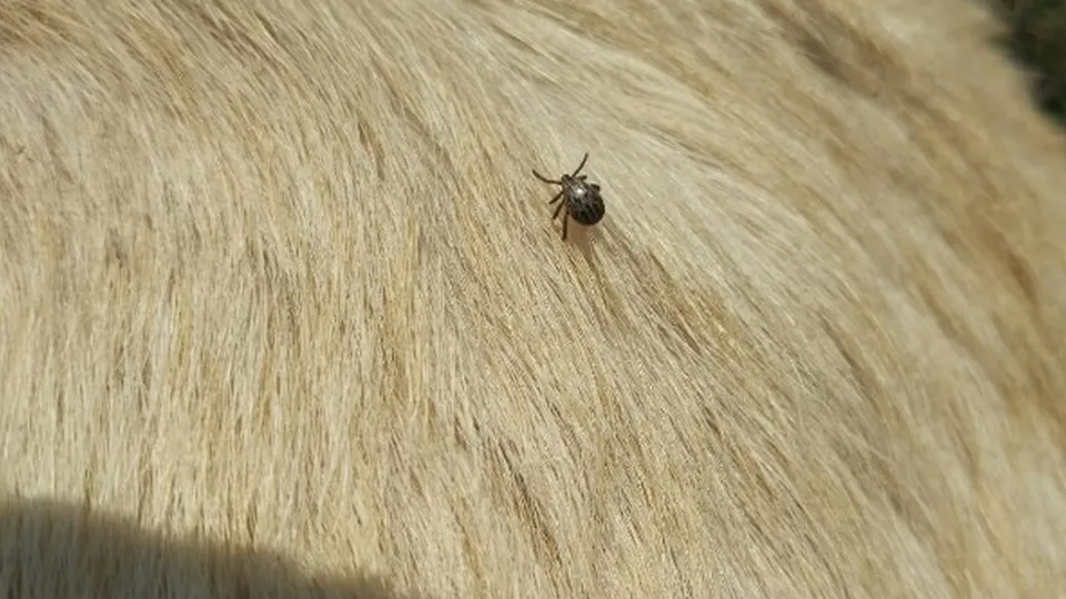 Фото: ru.freepik.com