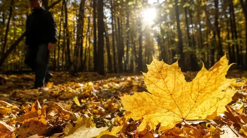 Фото: Пелагия Тихонова