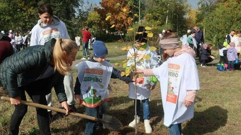 В Подмосковье подвели предварительные итоги акции «Наш лес. Посади свое дерево»