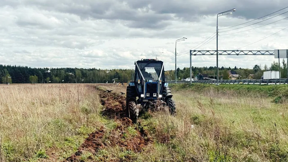 Фото: пресс-служба администрации г.о. Щелково