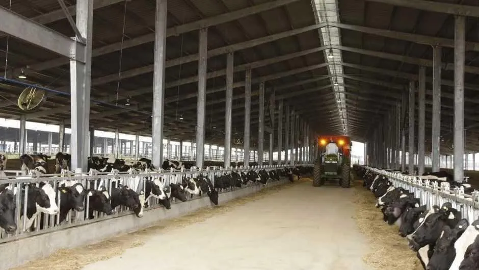 REGIONS/Владимир Ерастов