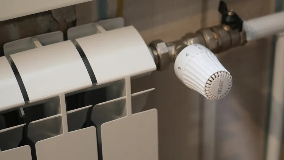 Фото: МедиаБанк Подмосковья/Мария Юдина