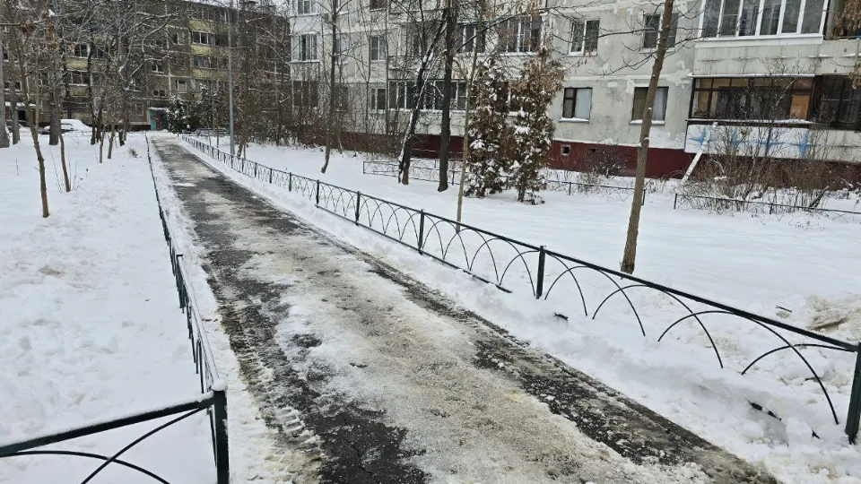 Фото: МедиаБанк Подмосковья/Яна Шаливская