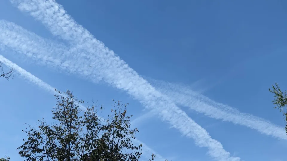 Фото: REGIONS/Алексей Селиверстов