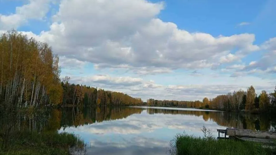 Фото: пресс-служба администрации Орехово-Зуевского округа