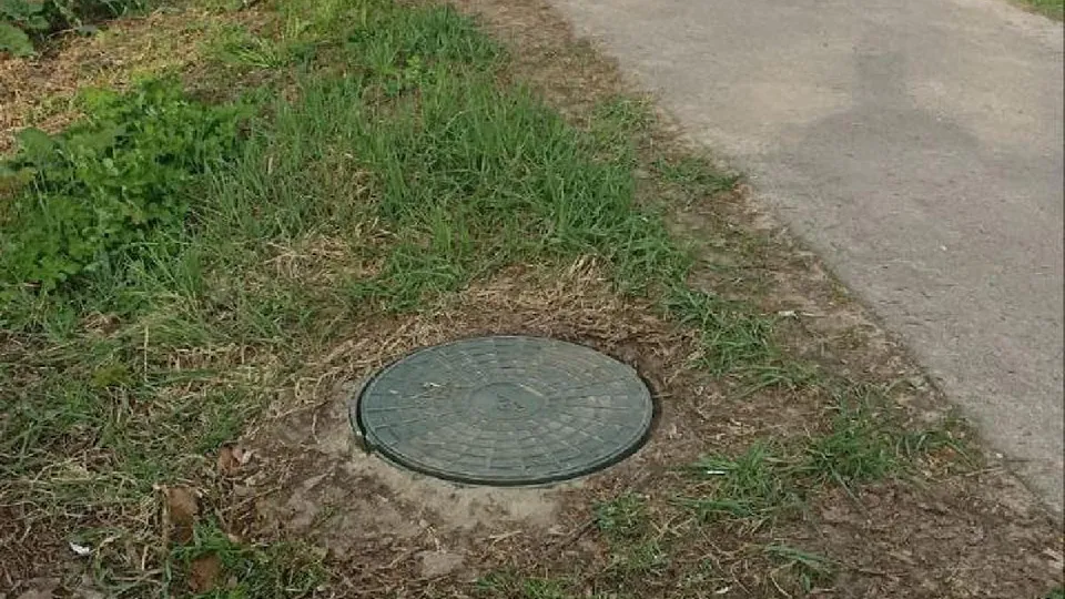 Фото: администрация Волоколамского округа