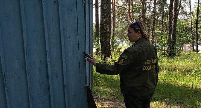 Еще 400 случаев самозахвата лесных участков выявили в Подмосковье
