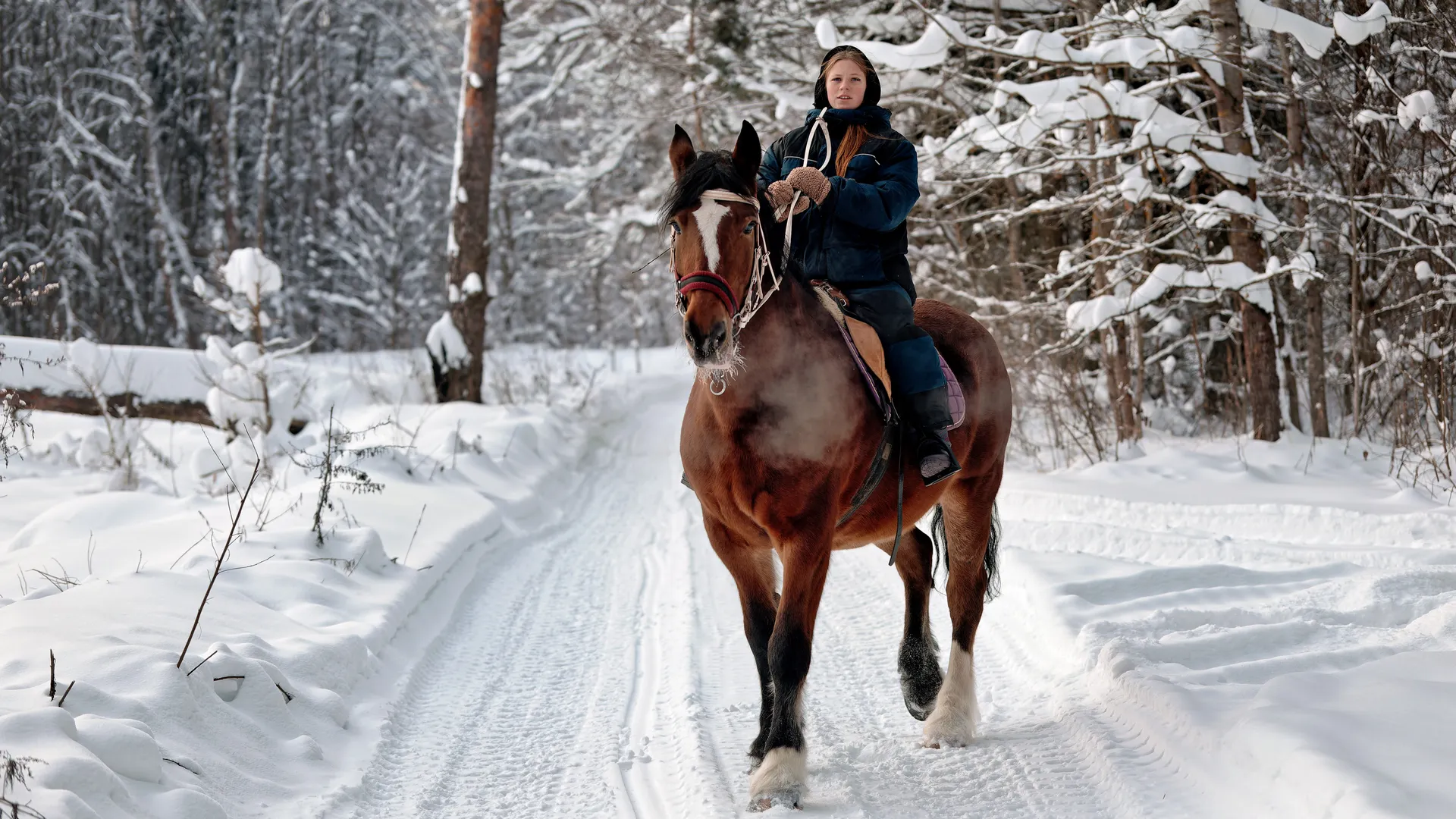 Прогулки на лошадях на «Экзотик ферме» в поселке Назарьево Одинцовского округа