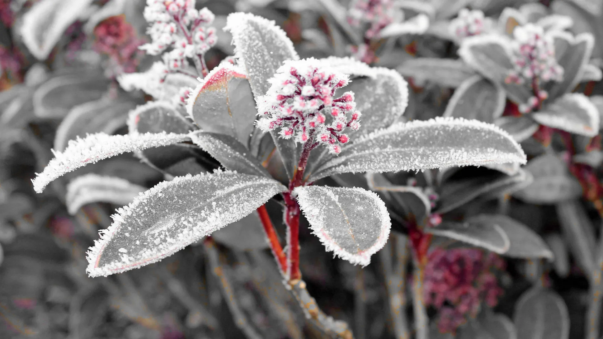 Фото: freepik.com