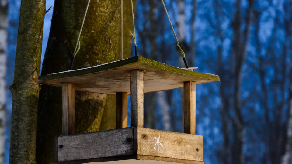 Фото: медиасток.рф