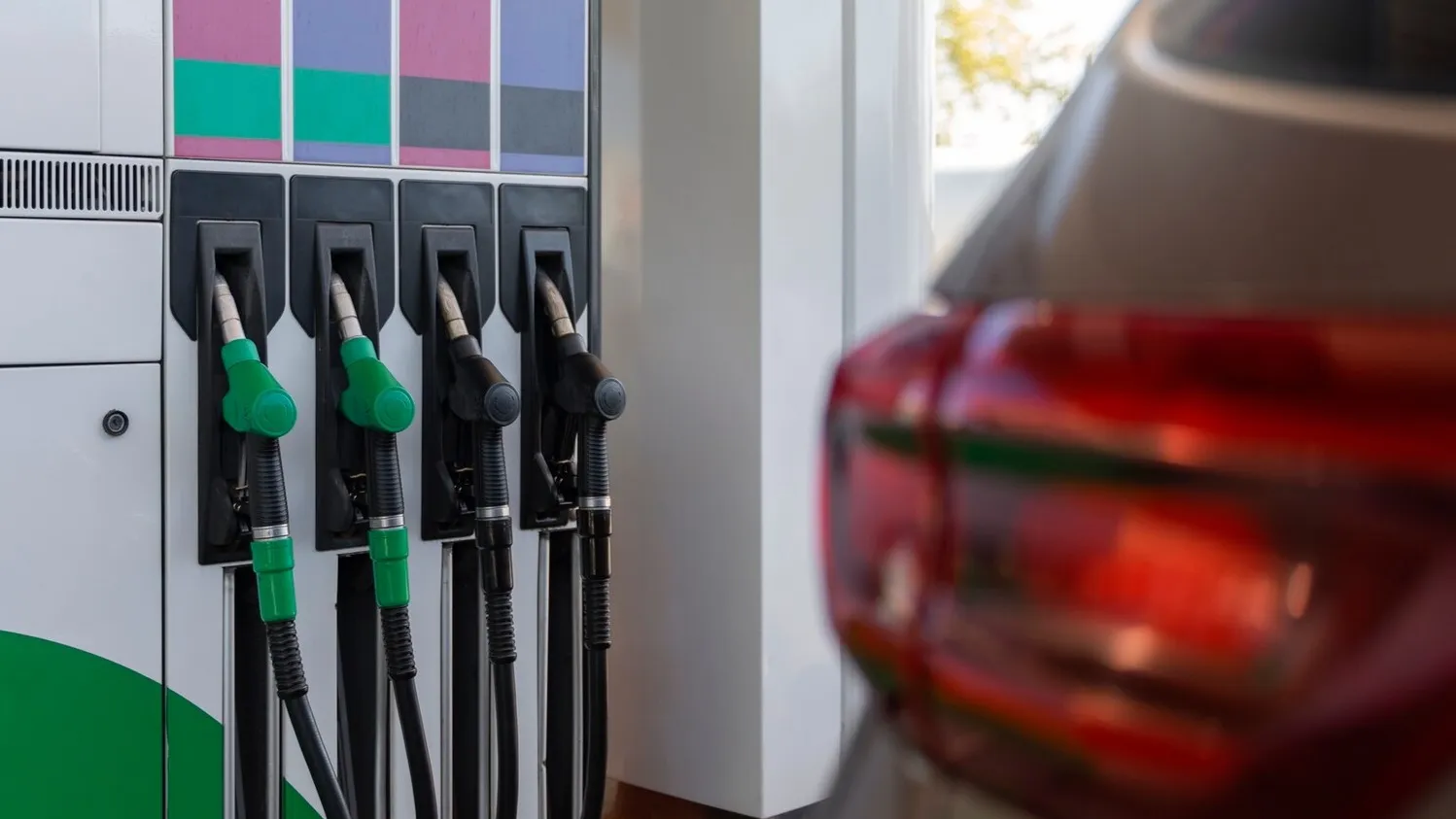 Фото: freepik.com