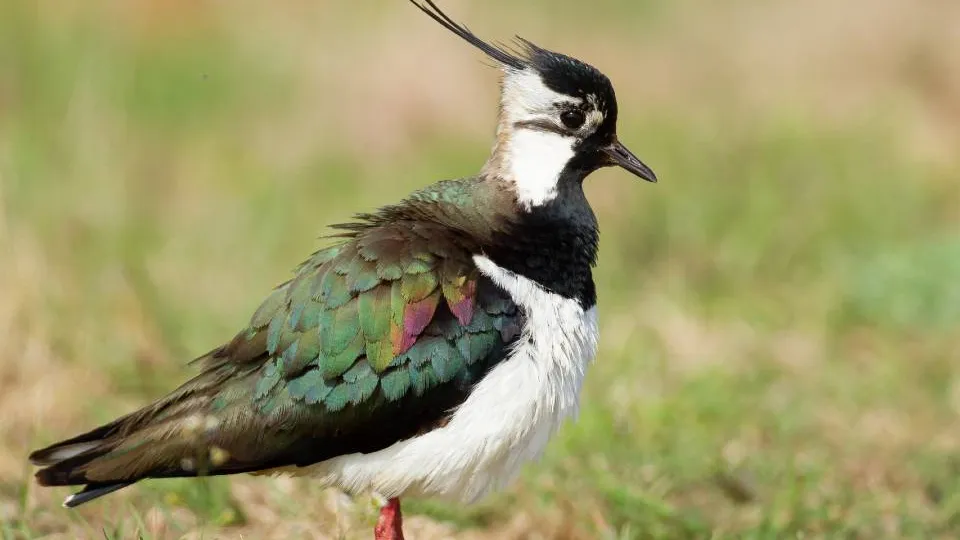 Фото: freepik.com