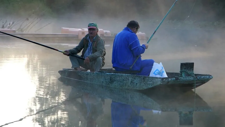 Фото: pxhere.com