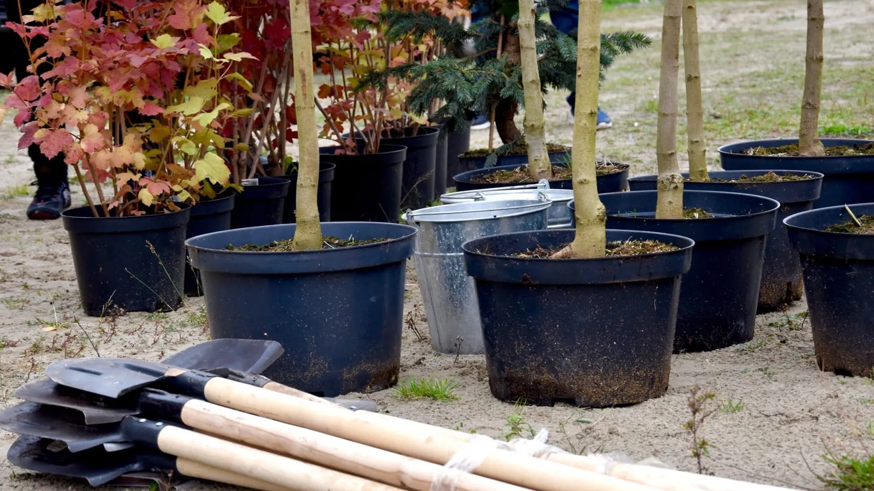 Фото: Инна Панёвина