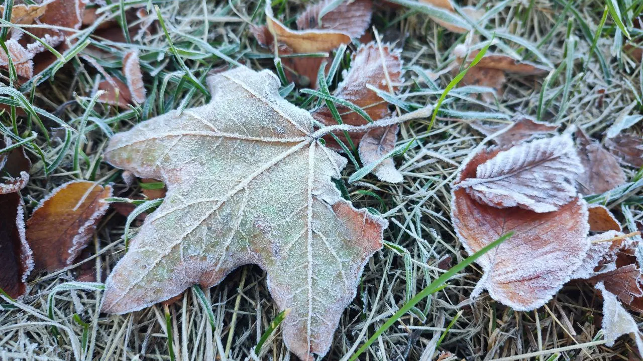 Фото: REGIONS/Елена Забелина