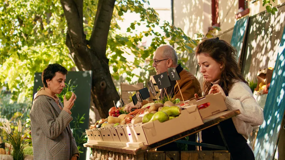 Фото: freepik.com