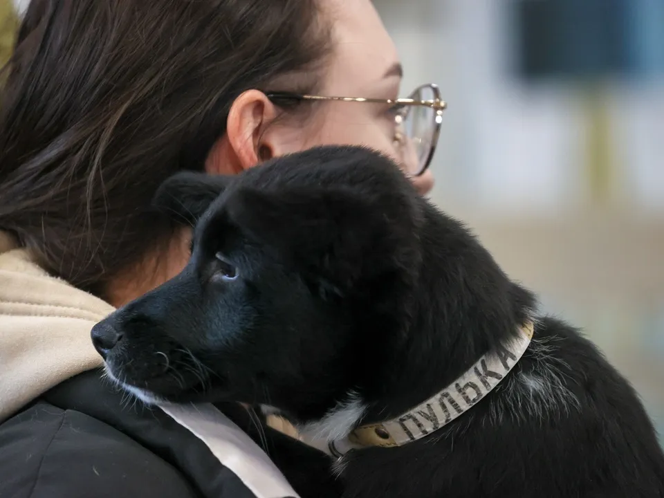 Фото: ТАСС/Сергей Савостьянов<br>
