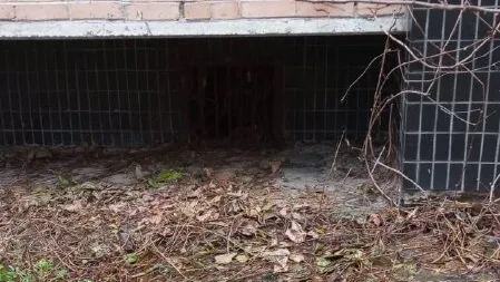 Фото: администрация Наро-Фоминского округа